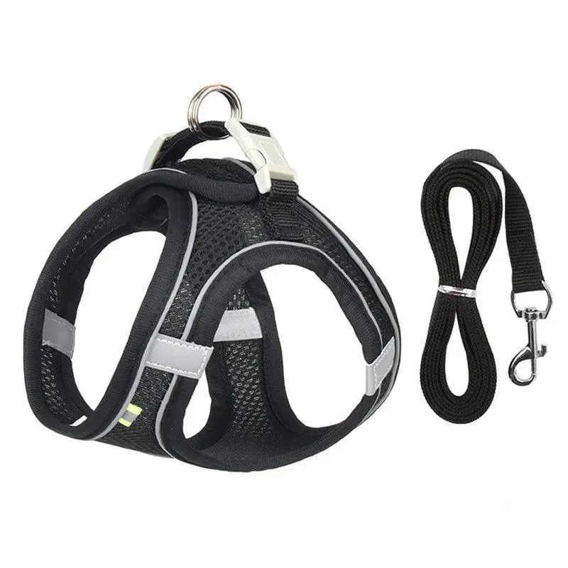 Complete Harness Leash Set