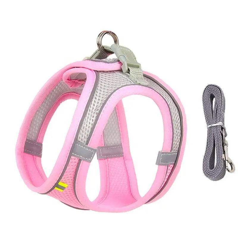 Complete Harness Leash Set