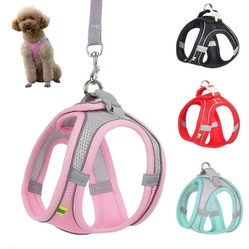 Complete Harness Leash Set