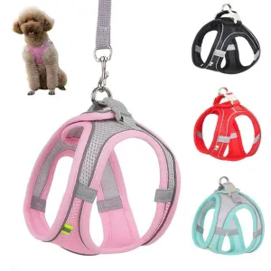 Complete Harness Leash Set