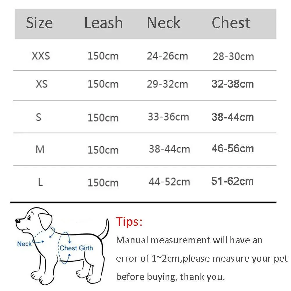 Complete Harness Leash Set