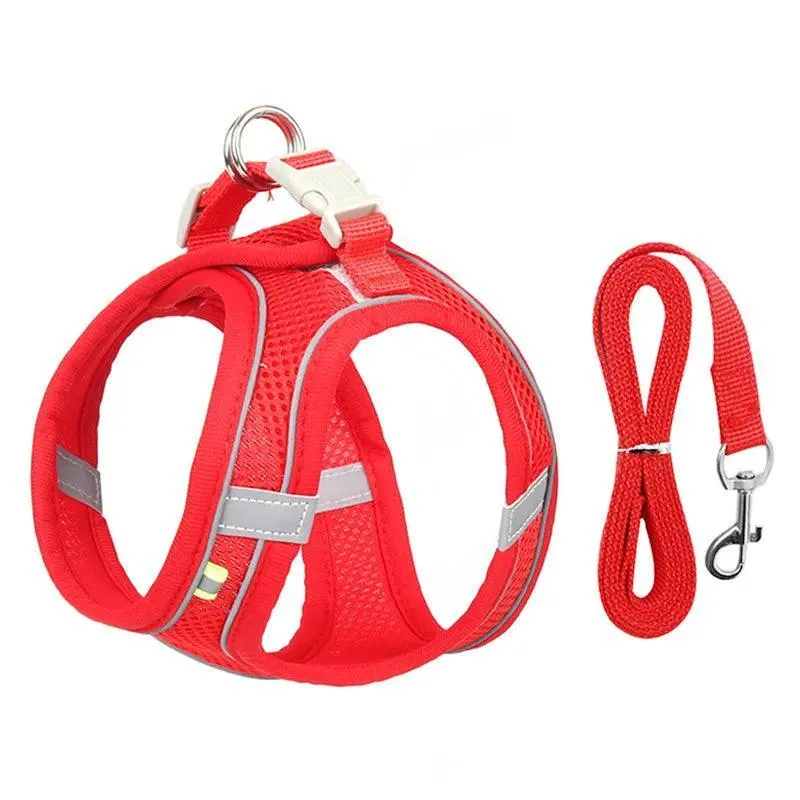 Complete Harness Leash Set