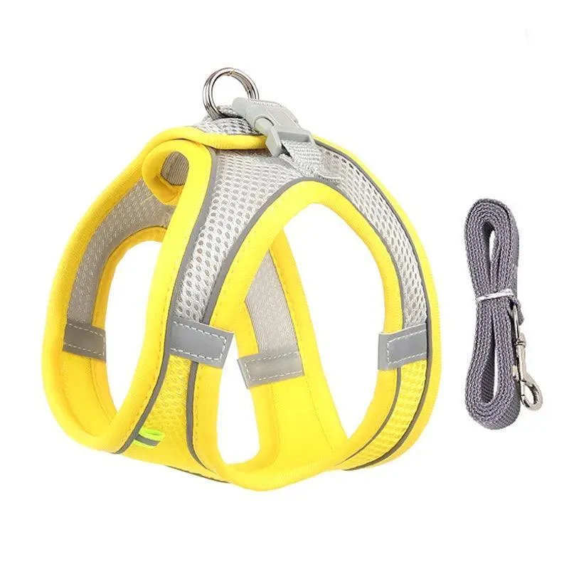 Complete Harness Leash Set