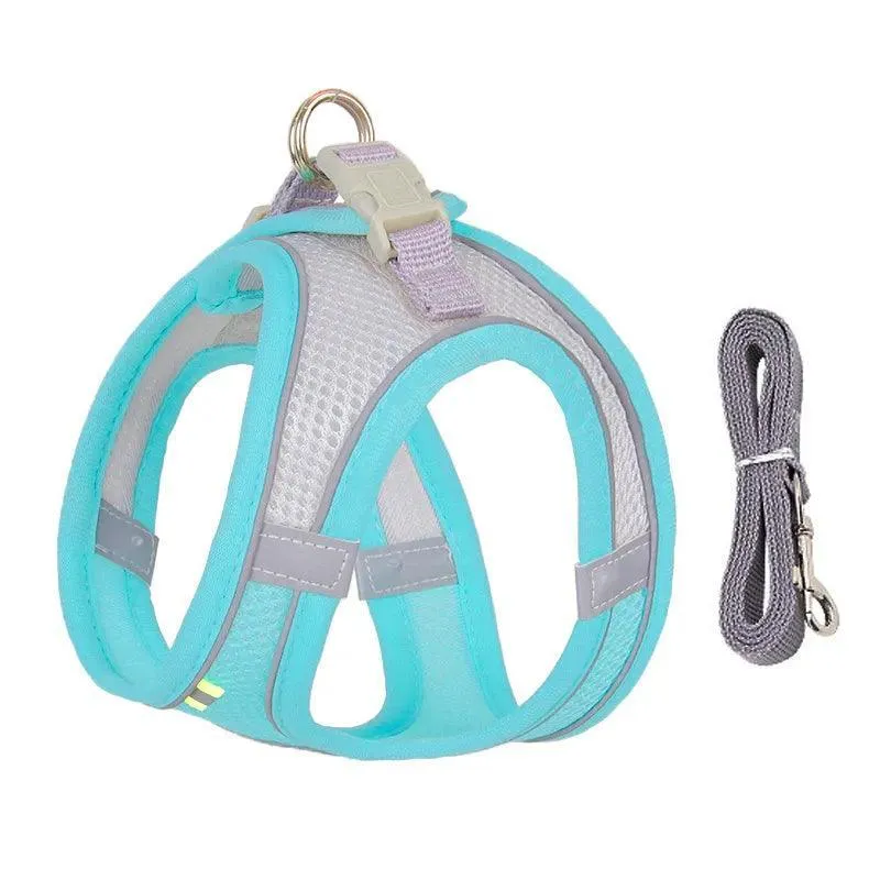 Complete Harness Leash Set