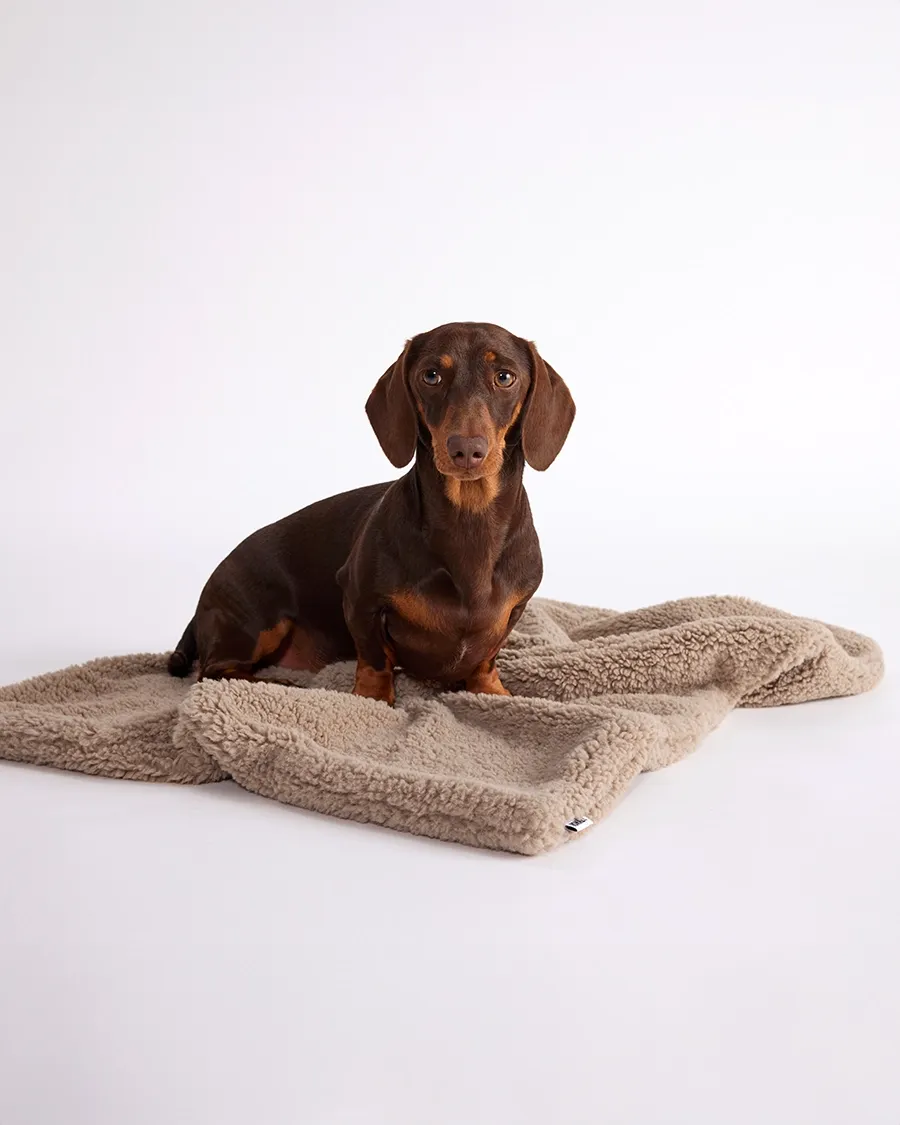 Faux Fur Pet Blanket - Warm Grey