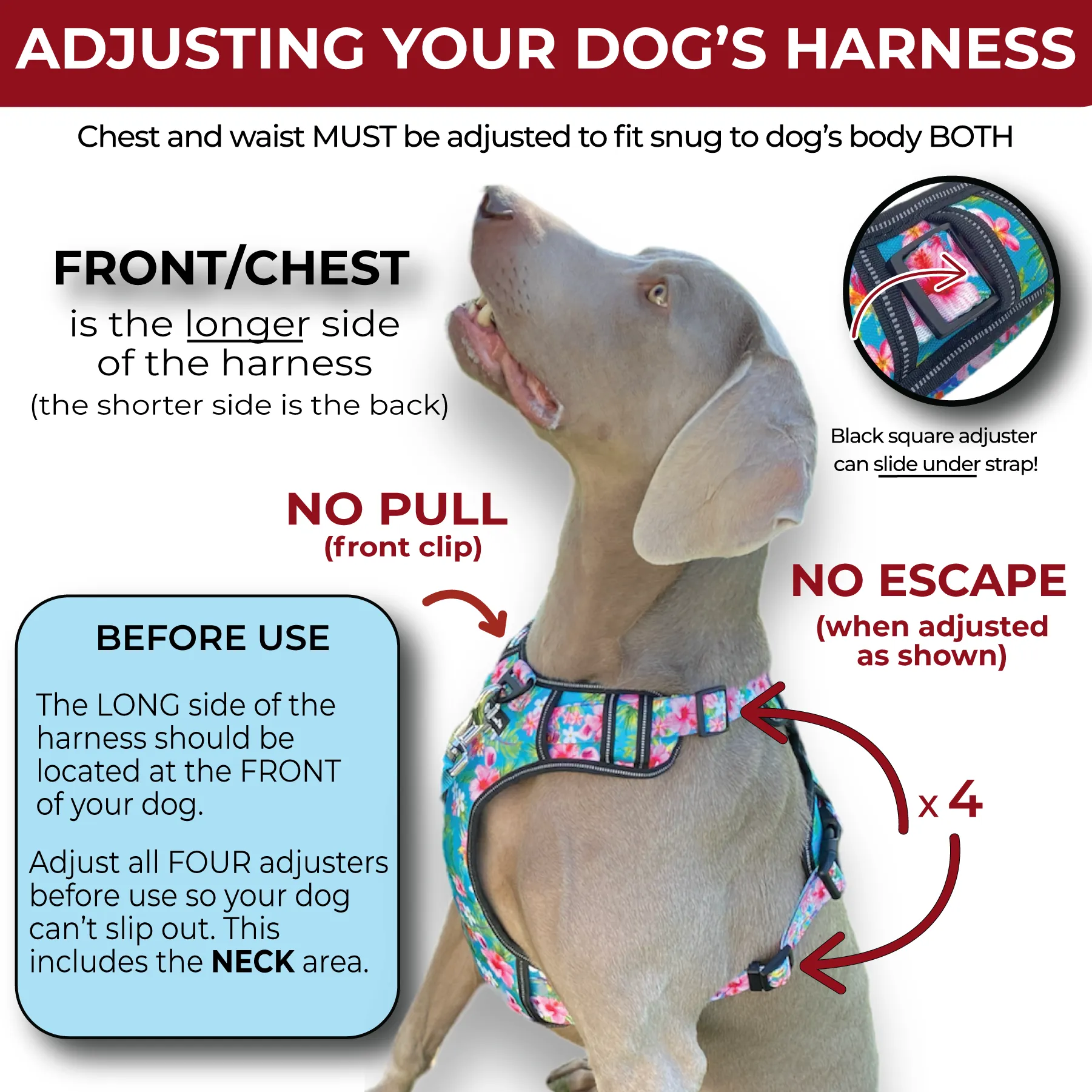 Heavy Duty Harness - Beach