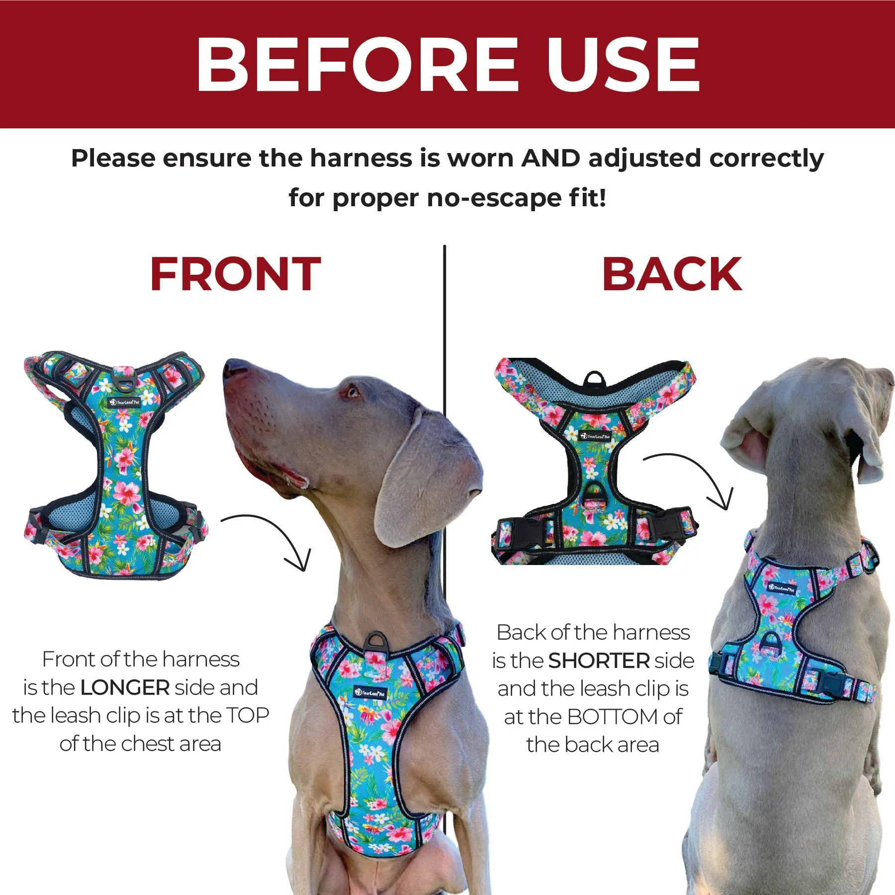 Heavy Duty Harness - Beach