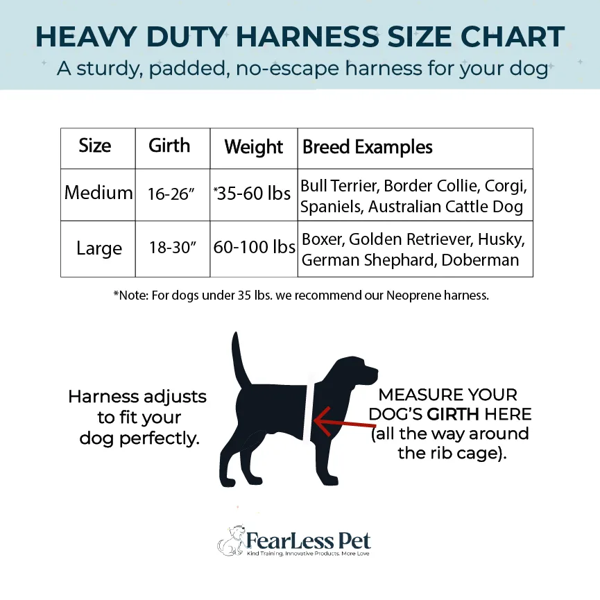 Heavy Duty Harness - Beach