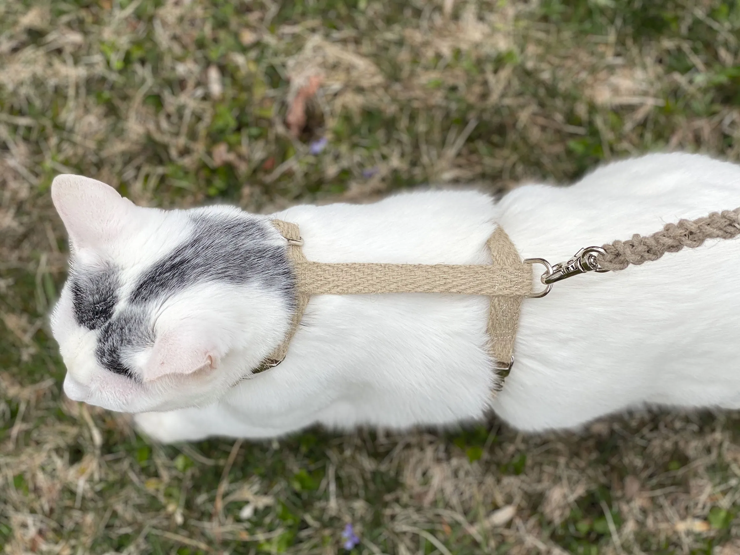 Just Hemp H-Style Cat Harness