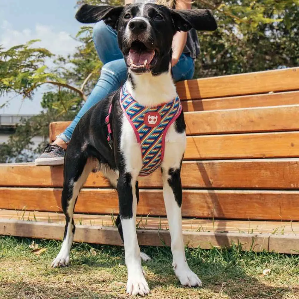 Zee.Dog Phantom Mesh Plus Dog Harness